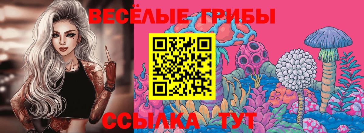 Жуковский  Псилоцибиновые грибы прущие грибы  Вход с VPN 